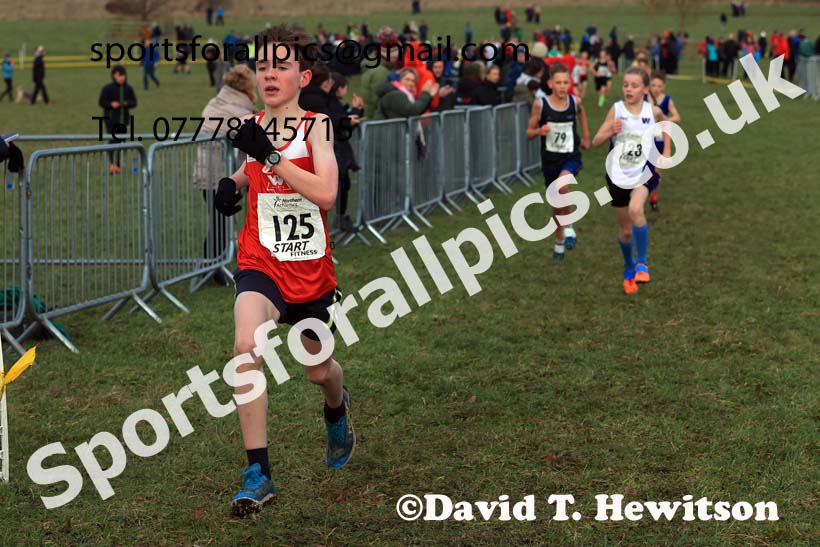 Boys Under-13s 2024 Northern Cross Country Champs., Sedgefield. Photo: David T. Hewitson/Sports for All Pics
